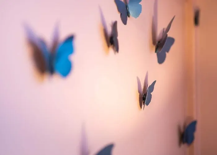 Lägenhet Le Dada 6 Personnes Hypercentre *